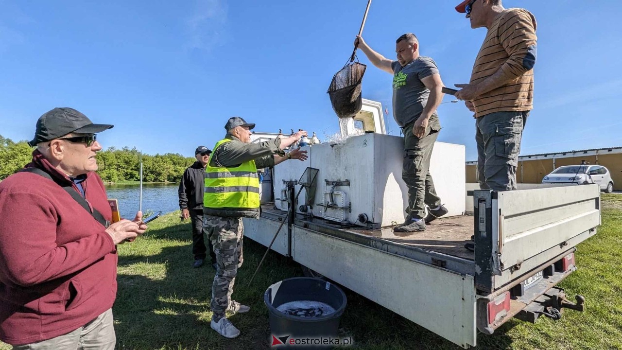 Wiosenne zarybianie Narwi z Energa Elektrownie Ostrołęka [09.05.2024] - zdjęcie #2 - eOstroleka.pl
