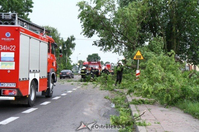 Drzewo na warszawskiej (24.06.2011) - zdjęcie #1 - eOstroleka.pl