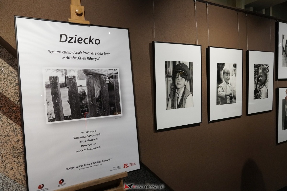 Wystawa “Dzieci” oficjalnie otwarta [24.05.2024] - zdjęcie #14 - eOstroleka.pl