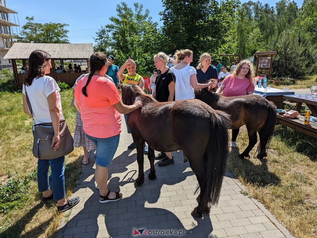 Warsztaty relaksacyjne Kucykowo w Multimedialnym Centrum Natura [27.05.2024] - zdjęcie #27 - eOstroleka.pl