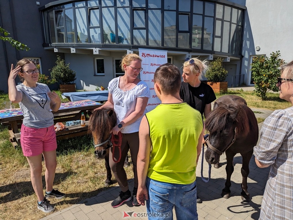 Warsztaty relaksacyjne Kucykowo w Multimedialnym Centrum Natura [27.05.2024] - zdjęcie #26 - eOstroleka.pl
