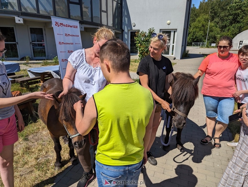 Warsztaty relaksacyjne Kucykowo w Multimedialnym Centrum Natura [27.05.2024] - zdjęcie #24 - eOstroleka.pl