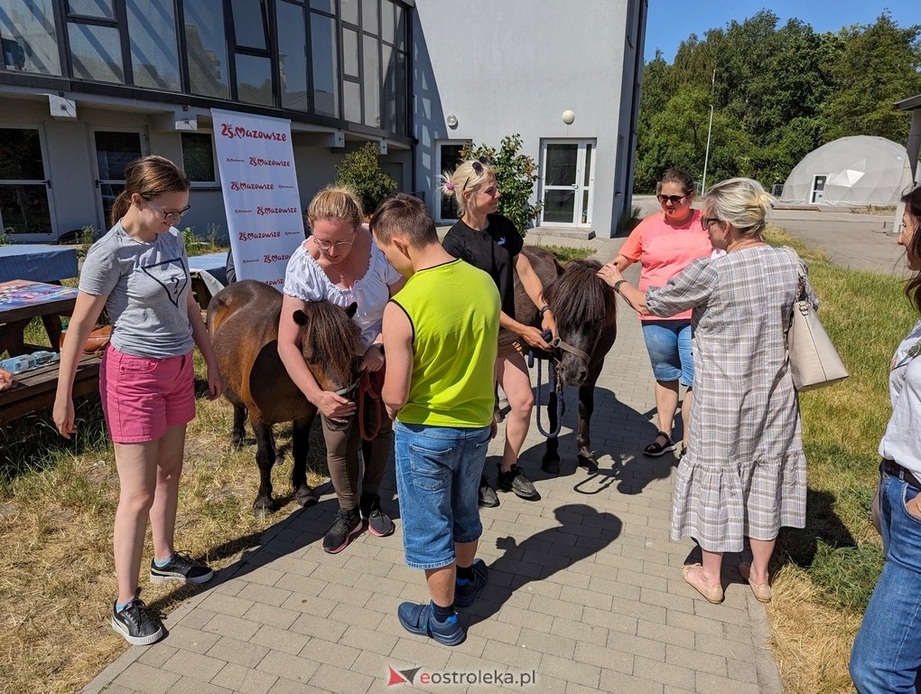Warsztaty relaksacyjne Kucykowo w Multimedialnym Centrum Natura [27.05.2024] - zdjęcie #23 - eOstroleka.pl