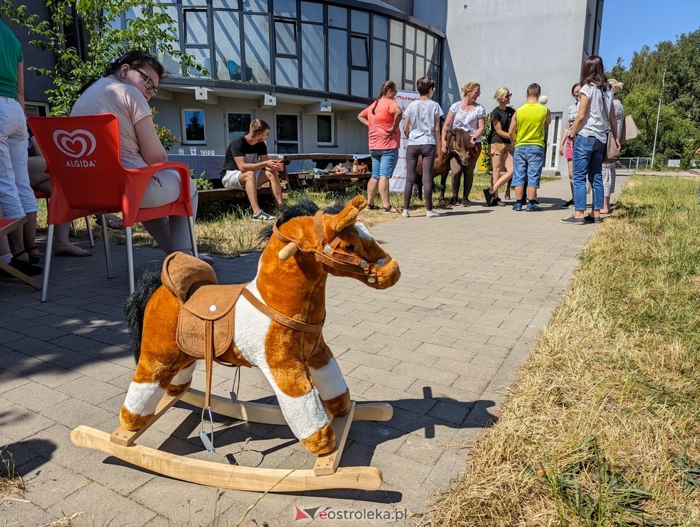 Warsztaty relaksacyjne Kucykowo w Multimedialnym Centrum Natura [27.05.2024] - zdjęcie #10 - eOstroleka.pl