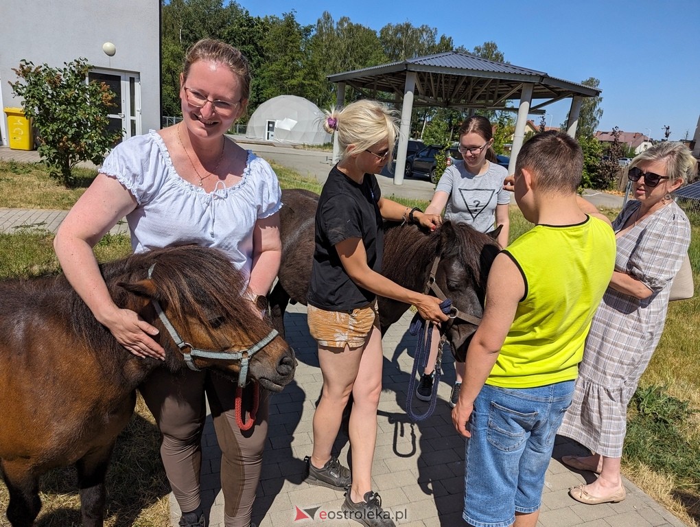 Warsztaty relaksacyjne Kucykowo w Multimedialnym Centrum Natura [27.05.2024] - zdjęcie #8 - eOstroleka.pl