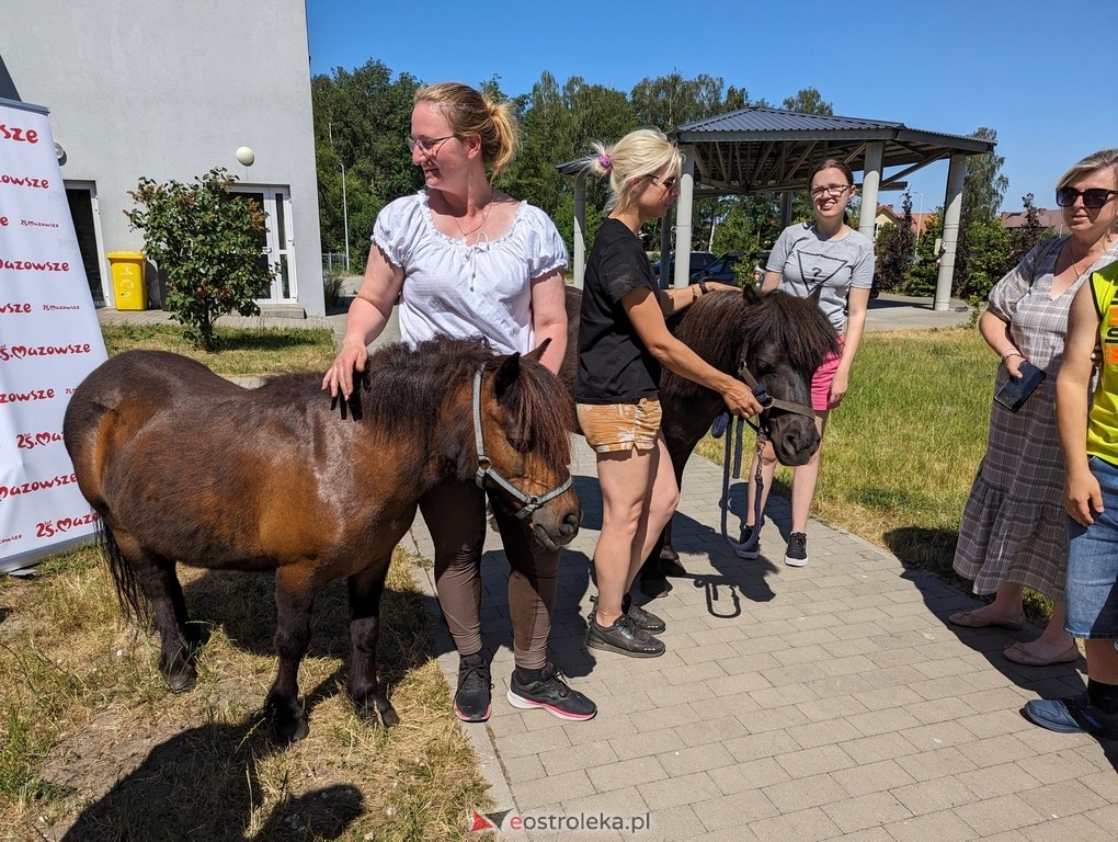 Warsztaty relaksacyjne Kucykowo w Multimedialnym Centrum Natura [27.05.2024] - zdjęcie #7 - eOstroleka.pl