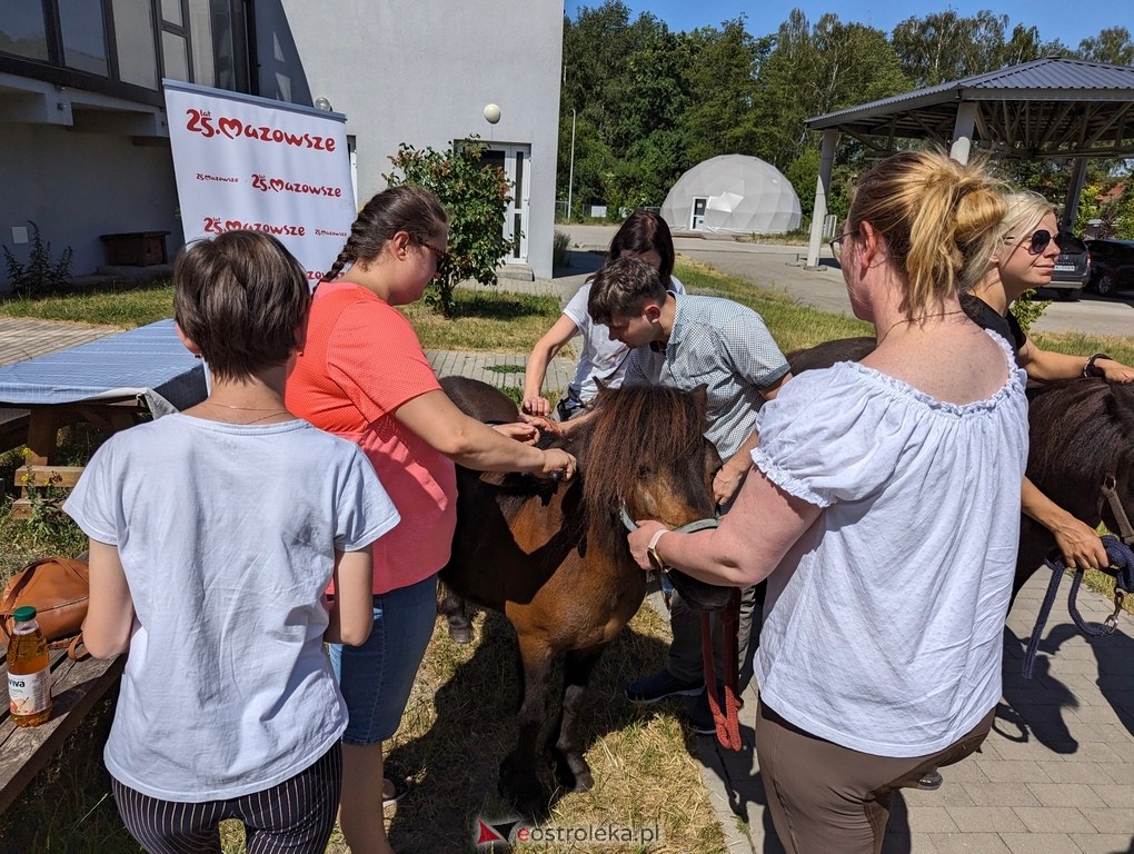 Warsztaty relaksacyjne Kucykowo w Multimedialnym Centrum Natura [27.05.2024] - zdjęcie #4 - eOstroleka.pl