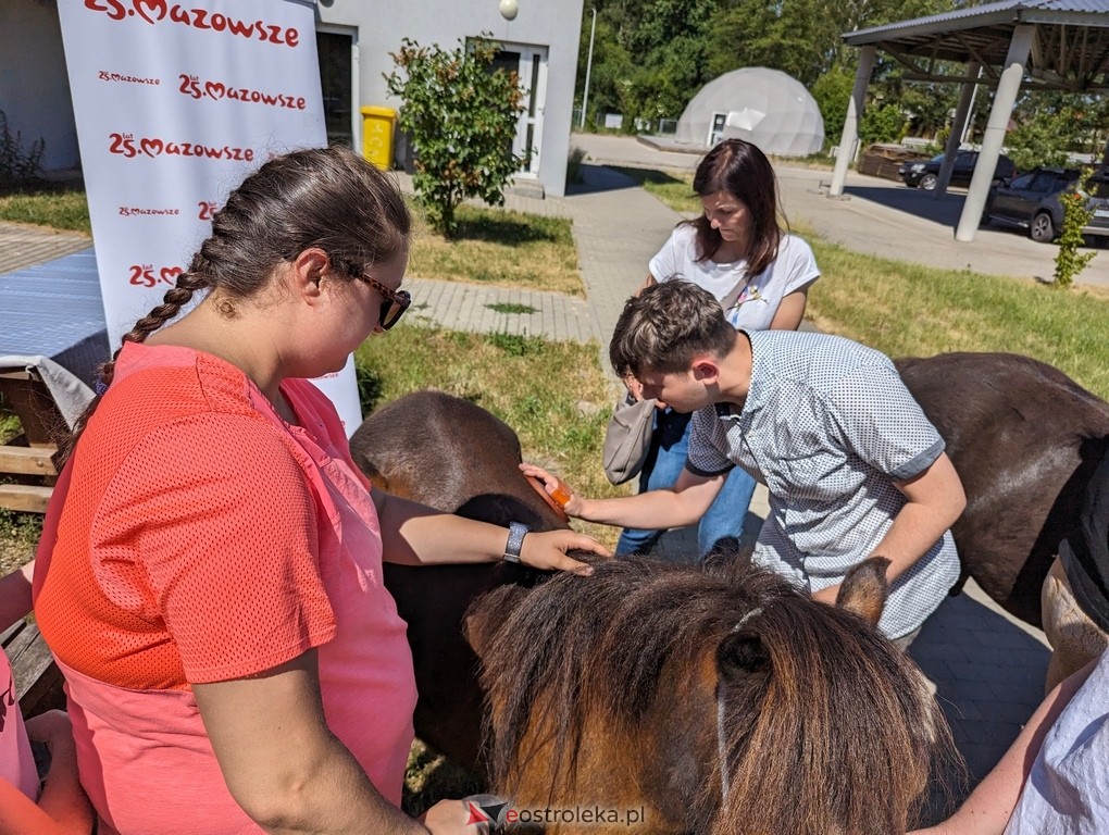 Warsztaty relaksacyjne Kucykowo w Multimedialnym Centrum Natura [27.05.2024] - zdjęcie #3 - eOstroleka.pl