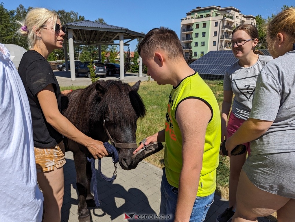 Warsztaty relaksacyjne Kucykowo w Multimedialnym Centrum Natura [27.05.2024] - zdjęcie #2 - eOstroleka.pl