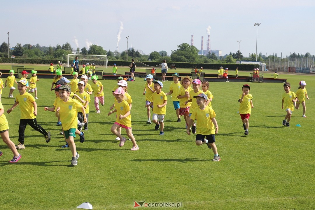 IV Piłkarski Festiwal Przedszkoli [29.05.2024] - zdjęcie #222 - eOstroleka.pl