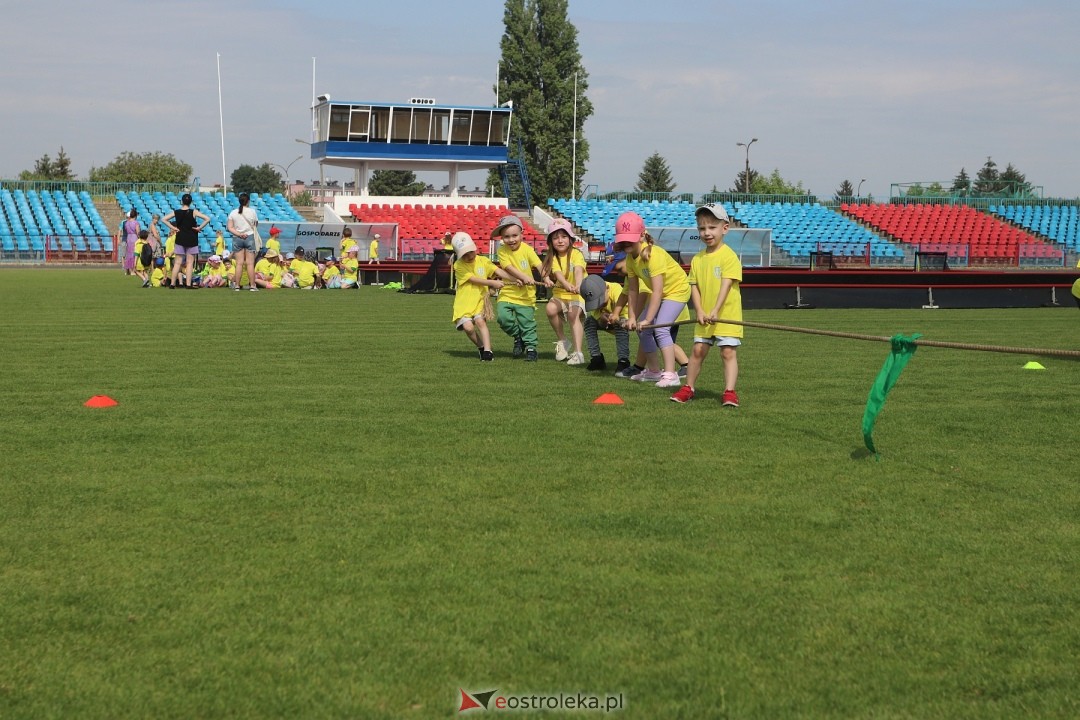 IV Piłkarski Festiwal Przedszkoli [29.05.2024] - zdjęcie #173 - eOstroleka.pl