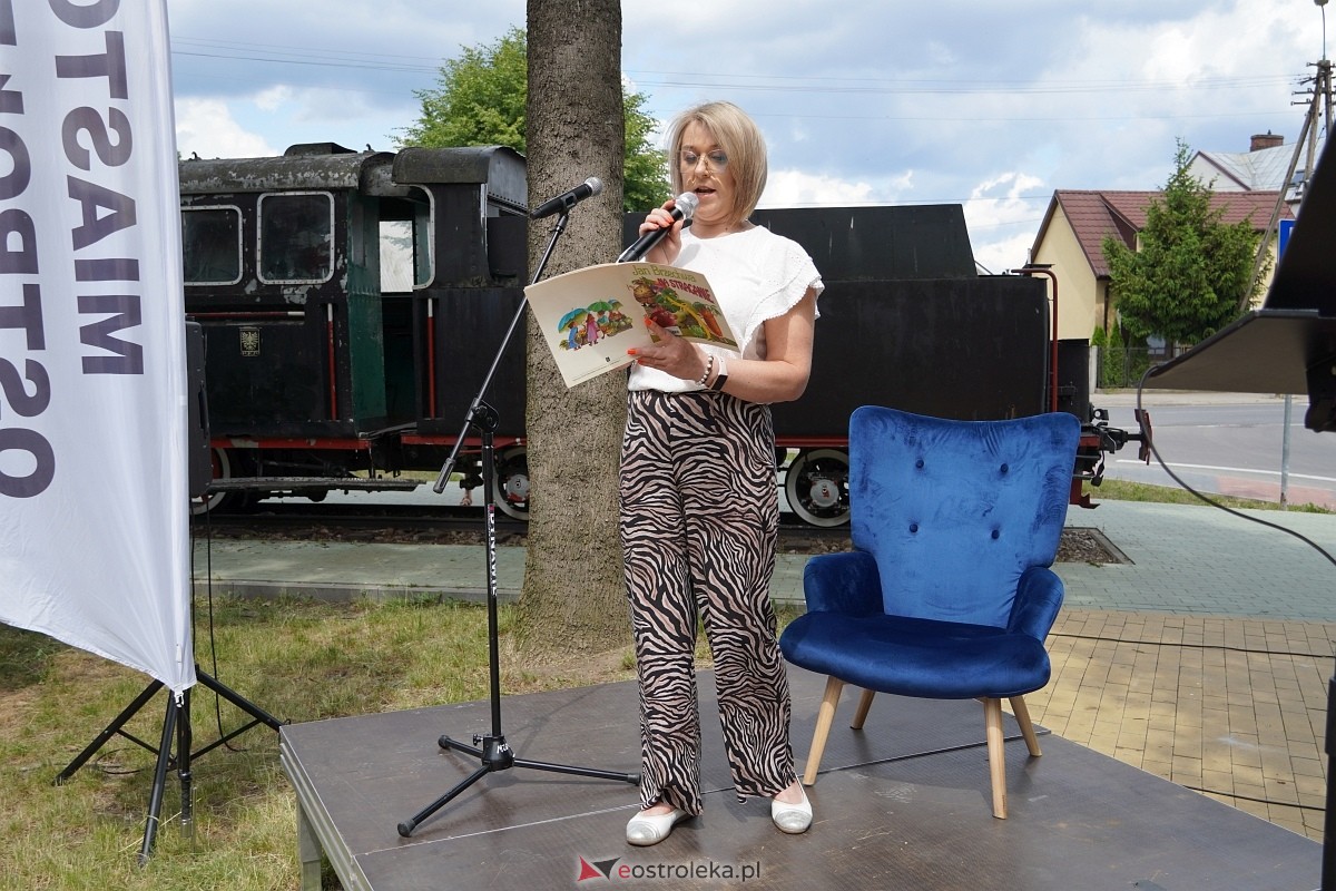 Piknik Czytelniczy 2024 - zdjęcie #18 - eOstroleka.pl