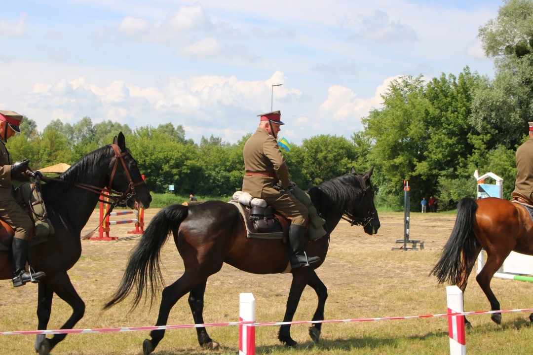 Drugi Dzień: XII Zawody Kawaleryjskie w Ostrołęce [02.06.2024] - zdjęcie #86 - eOstroleka.pl