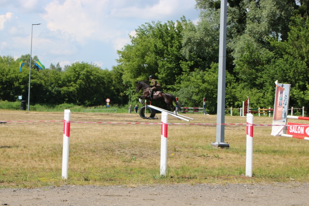 Drugi Dzień: XII Zawody Kawaleryjskie w Ostrołęce [02.06.2024] - zdjęcie #59 - eOstroleka.pl