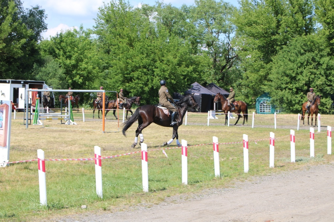 Drugi Dzień: XII Zawody Kawaleryjskie w Ostrołęce [02.06.2024] - zdjęcie #54 - eOstroleka.pl