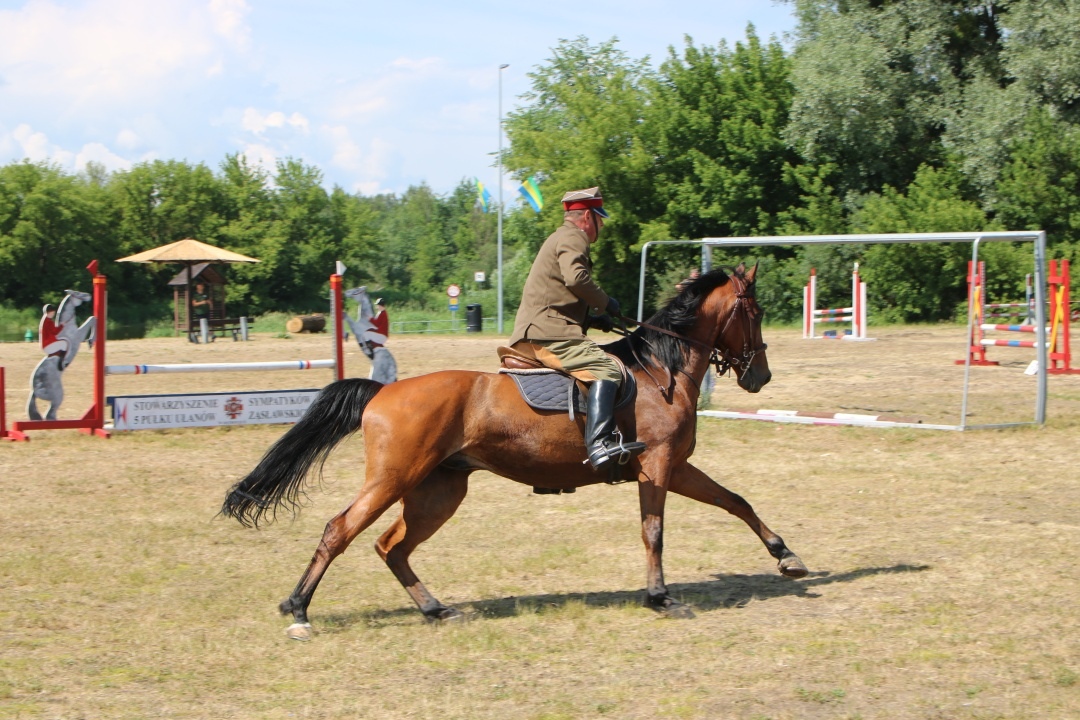 Drugi Dzień: XII Zawody Kawaleryjskie w Ostrołęce [02.06.2024] - zdjęcie #37 - eOstroleka.pl