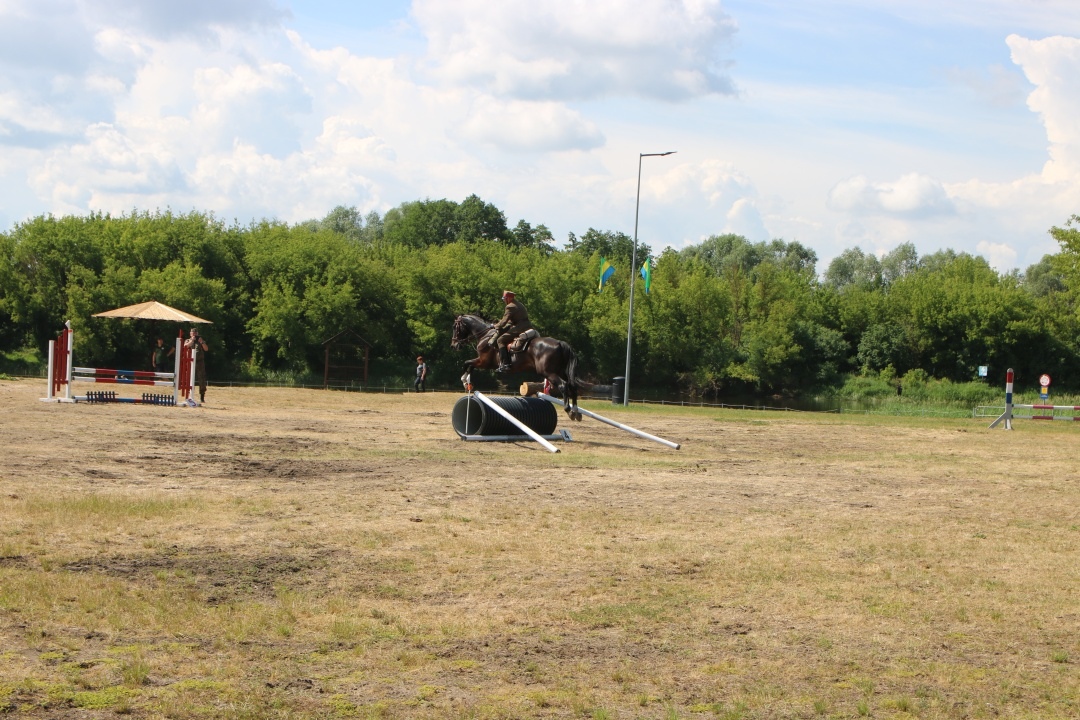 Drugi Dzień: XII Zawody Kawaleryjskie w Ostrołęce [02.06.2024] - zdjęcie #31 - eOstroleka.pl
