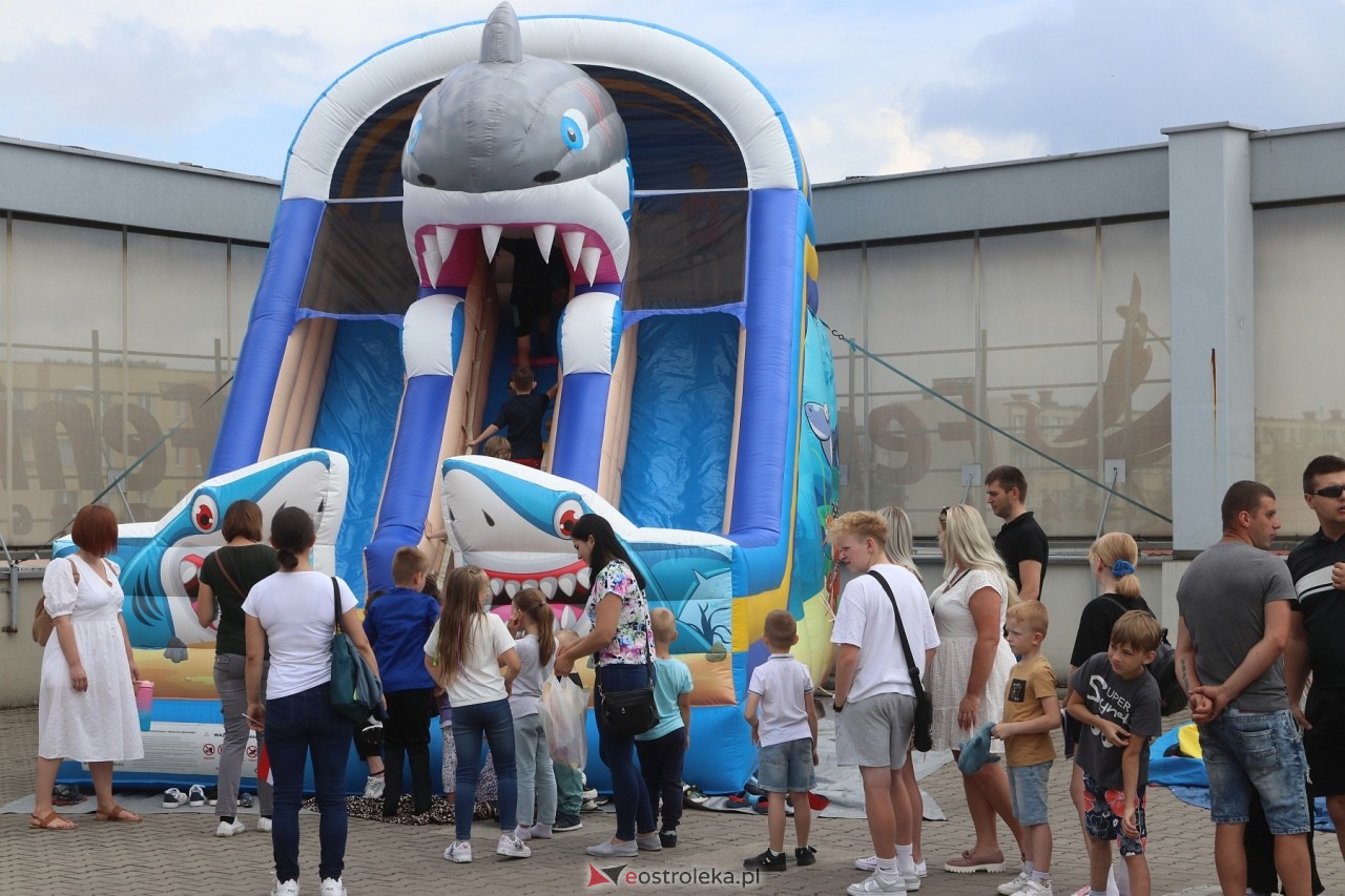 Rodzinny Piknik Europejski w Ostrołęce [02.06.2024] - zdjęcie #70 - eOstroleka.pl