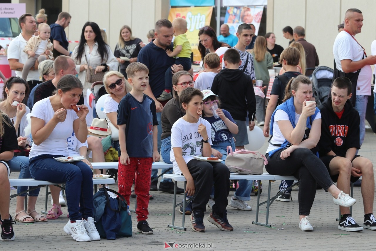 Rodzinny Piknik Europejski w Ostrołęce [02.06.2024] - zdjęcie #48 - eOstroleka.pl