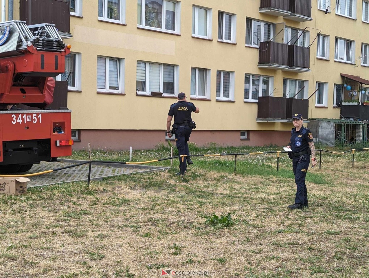 Akcja ratowania kota w Ostrołęce [04.06.2024] - zdjęcie #20 - eOstroleka.pl