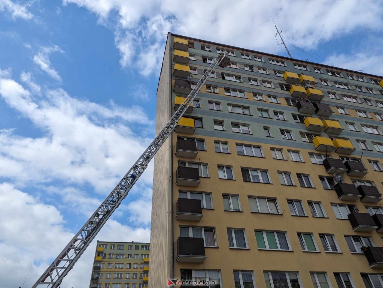 Akcja ratowania kota w Ostrołęce [04.06.2024] - zdjęcie #16 - eOstroleka.pl