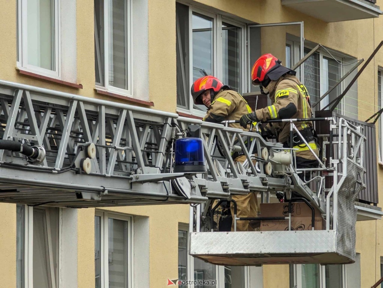 Akcja ratowania kota w Ostrołęce [04.06.2024] - zdjęcie #15 - eOstroleka.pl