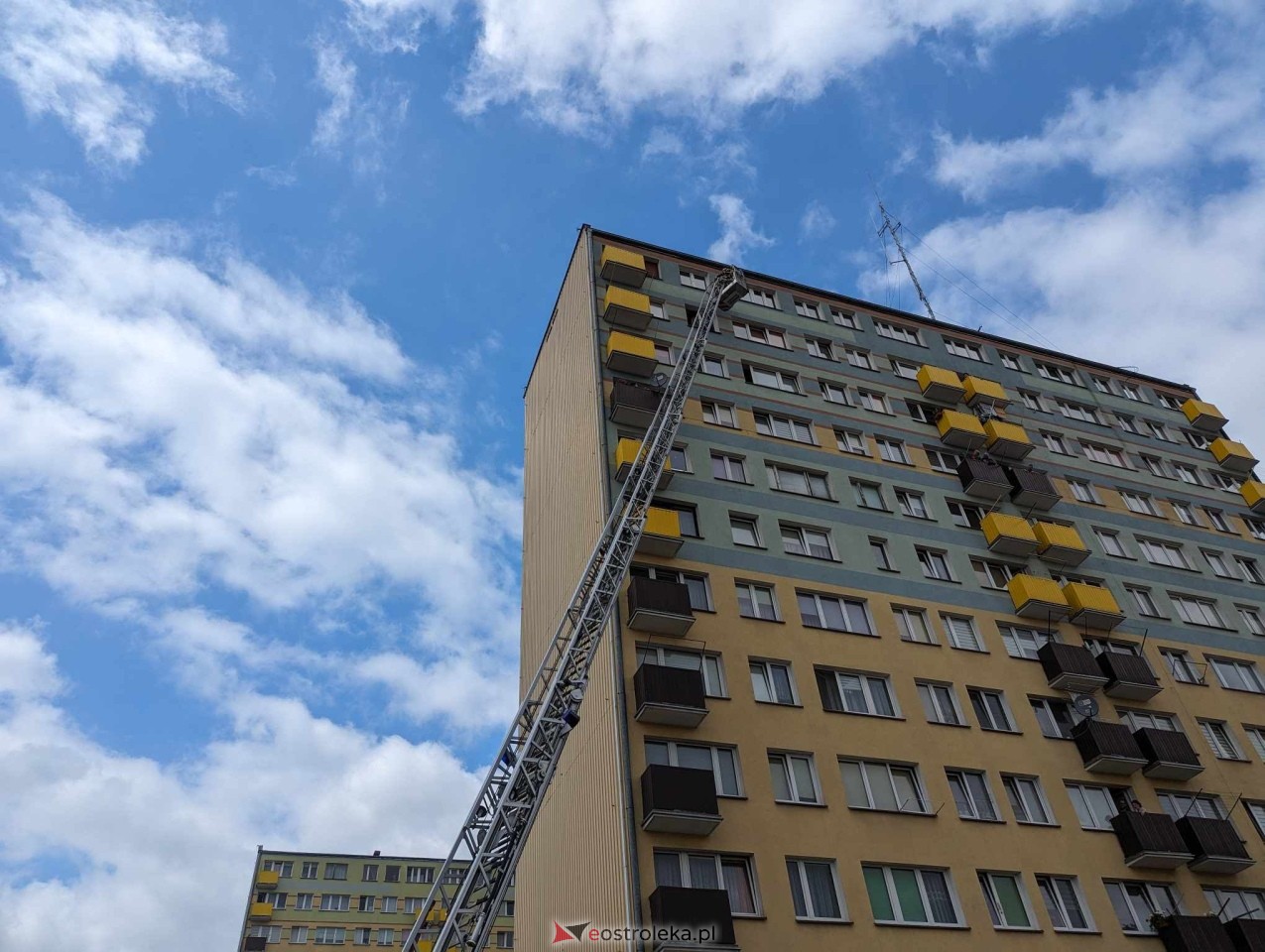 Akcja ratowania kota w Ostrołęce [04.06.2024] - zdjęcie #14 - eOstroleka.pl