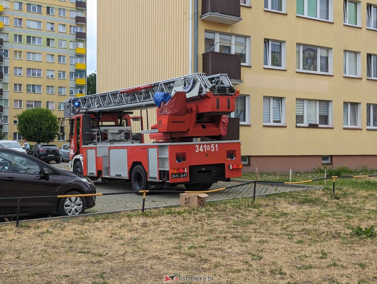 Akcja ratowania kota w Ostrołęce [04.06.2024] - zdjęcie #13 - eOstroleka.pl