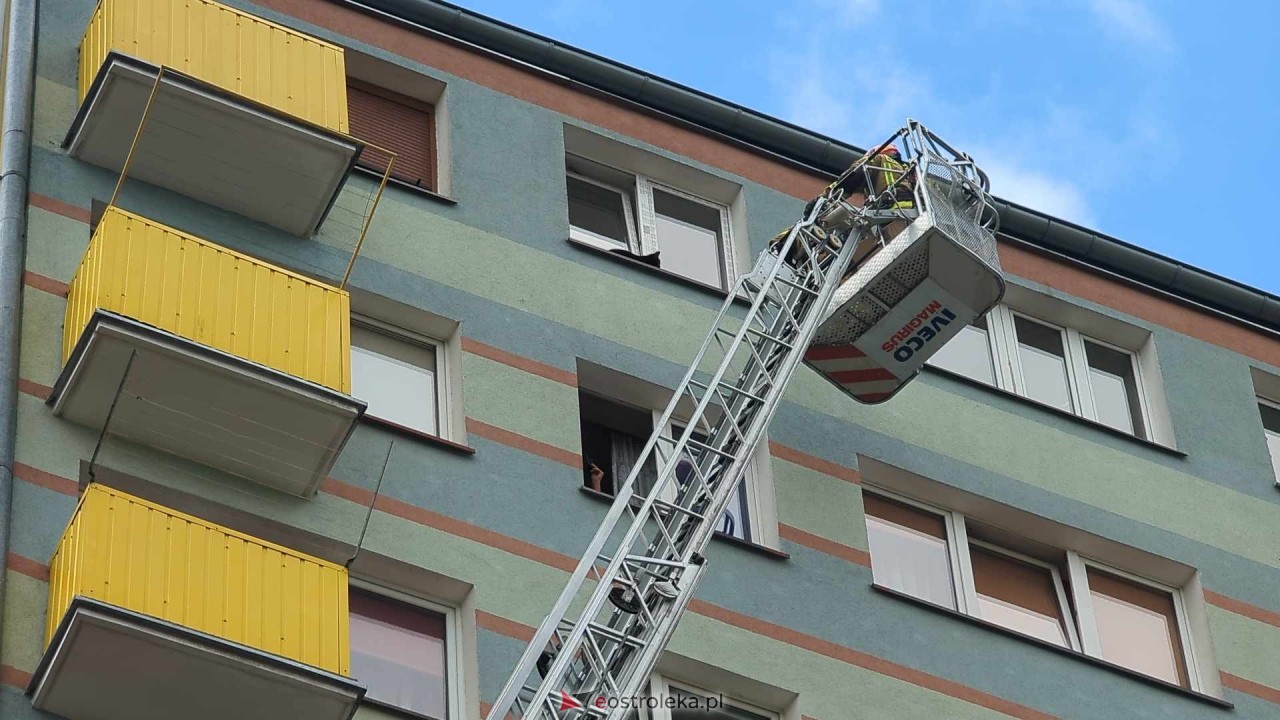 Akcja ratowania kota w Ostrołęce [04.06.2024] - zdjęcie #12 - eOstroleka.pl