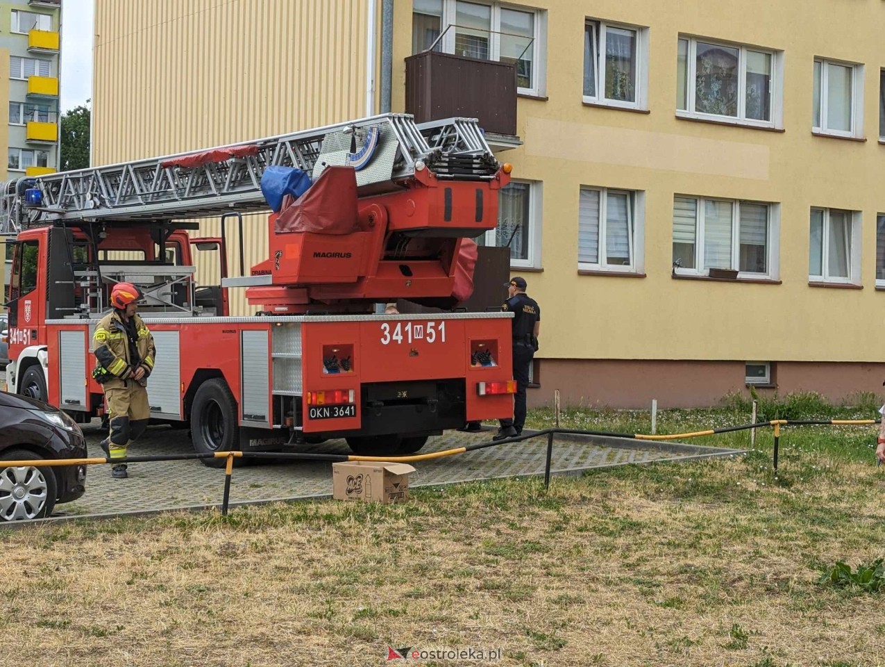 Akcja ratowania kota w Ostrołęce [04.06.2024] - zdjęcie #11 - eOstroleka.pl