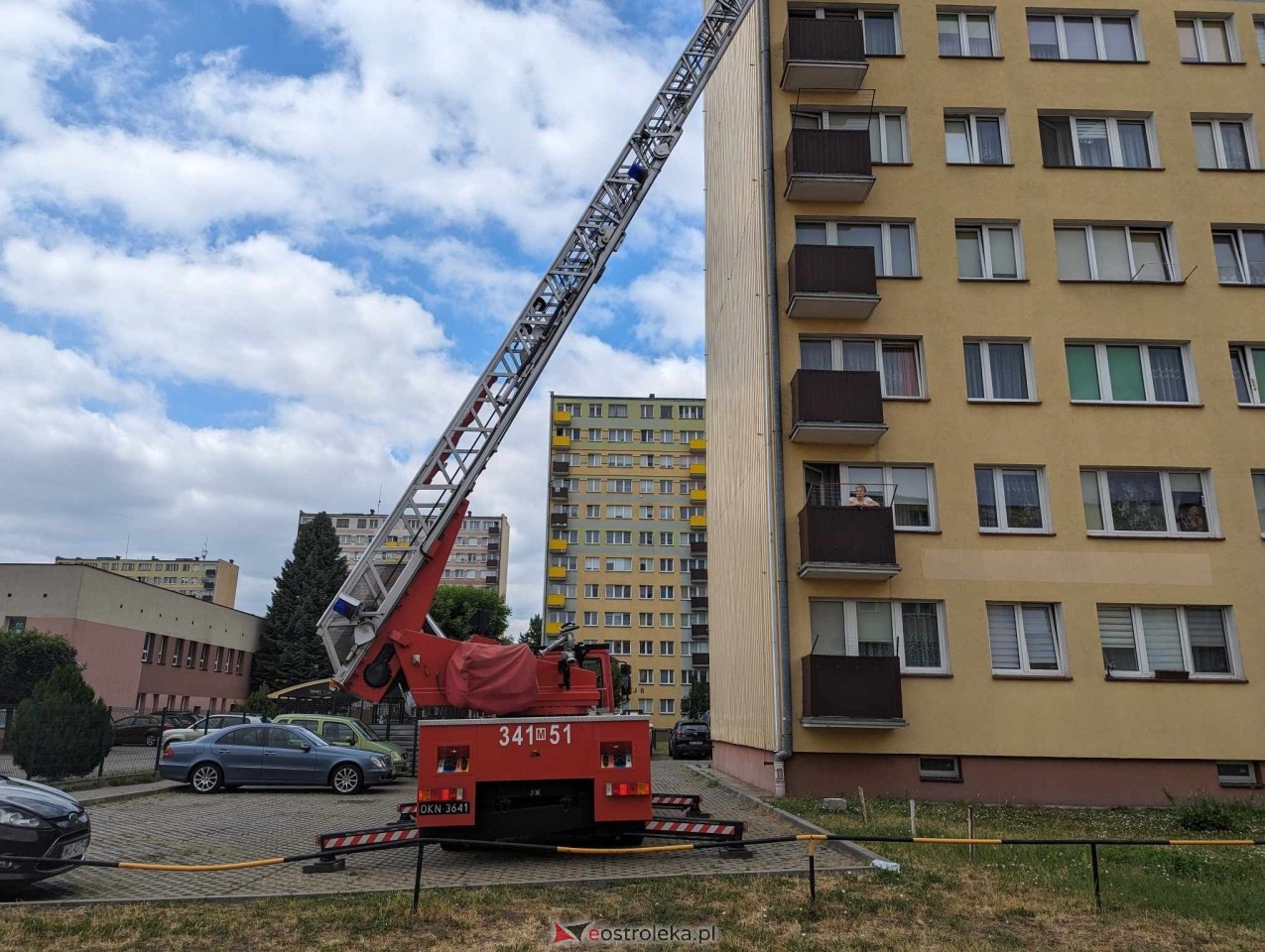 Akcja ratowania kota w Ostrołęce [04.06.2024] - zdjęcie #10 - eOstroleka.pl