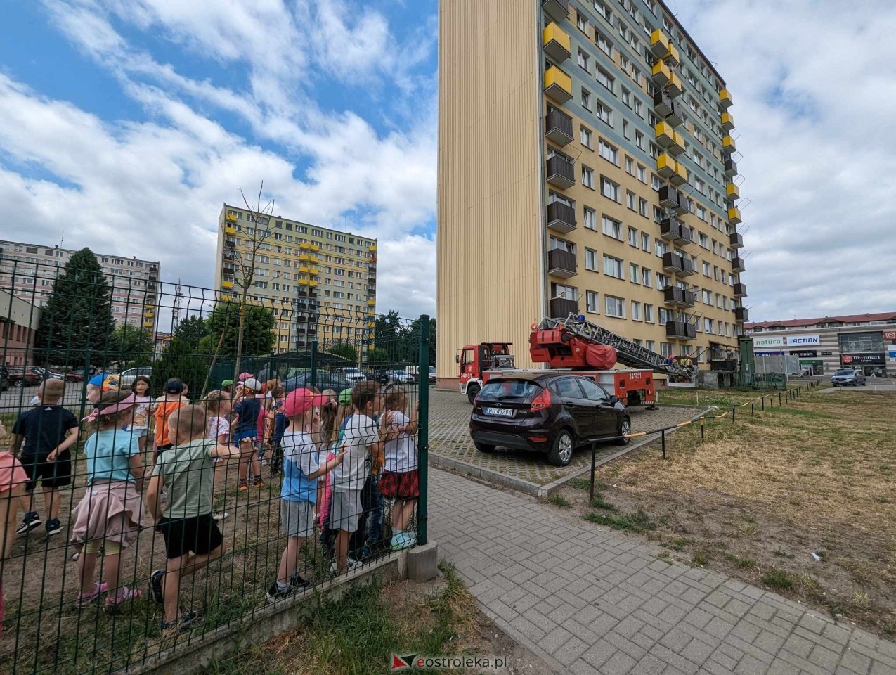 Akcja ratowania kota w Ostrołęce [04.06.2024] - zdjęcie #8 - eOstroleka.pl