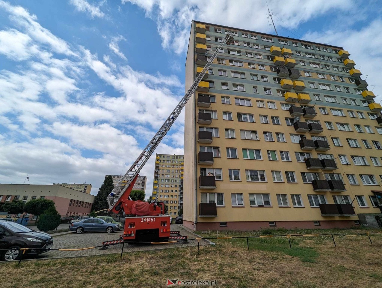 Akcja ratowania kota w Ostrołęce [04.06.2024] - zdjęcie #7 - eOstroleka.pl