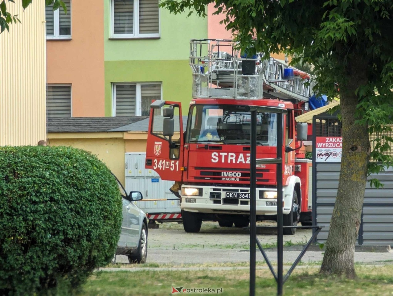 Akcja ratowania kota w Ostrołęce [04.06.2024] - zdjęcie #5 - eOstroleka.pl