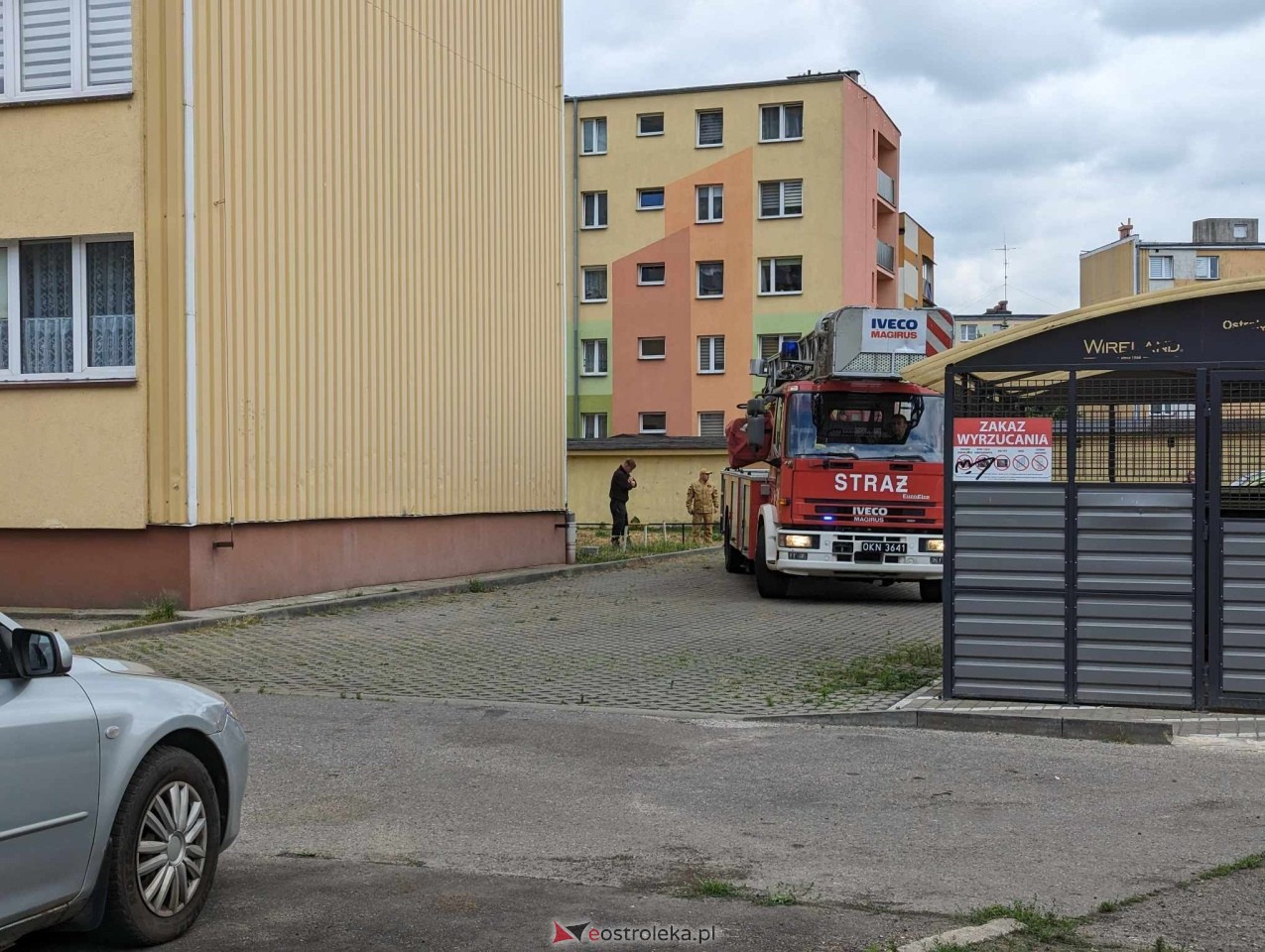 Akcja ratowania kota w Ostrołęce [04.06.2024] - zdjęcie #3 - eOstroleka.pl