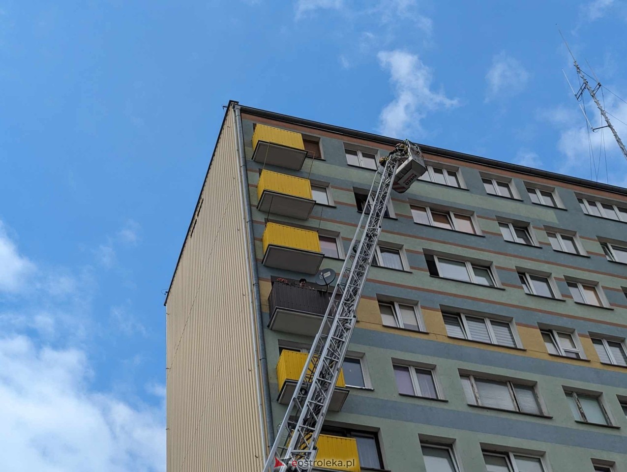 Akcja ratowania kota w Ostrołęce [04.06.2024] - zdjęcie #2 - eOstroleka.pl