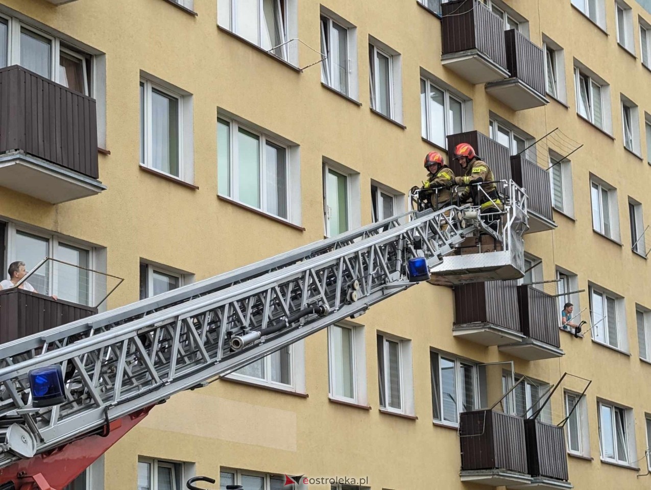 Akcja ratowania kota w Ostrołęce [04.06.2024] - zdjęcie #1 - eOstroleka.pl