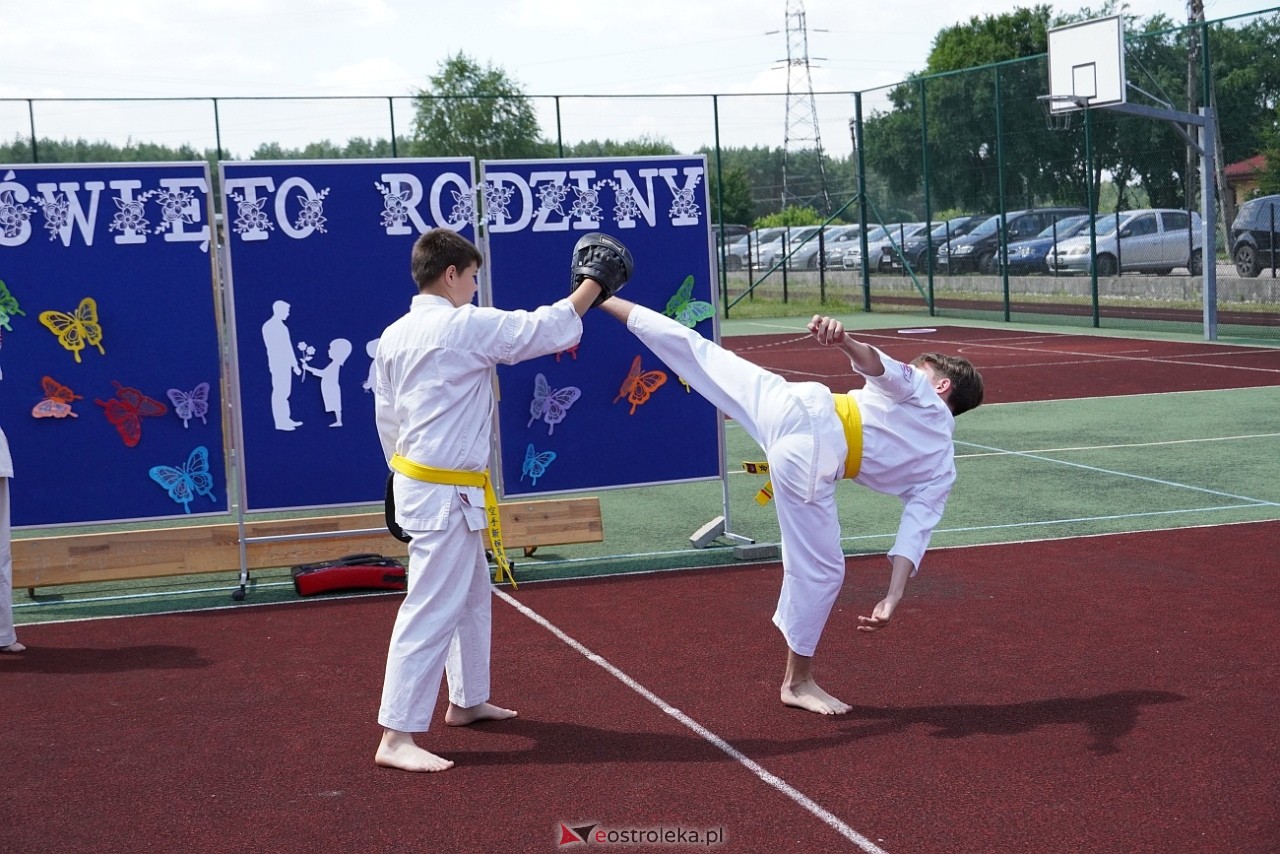 Piknik w Dylewie: Radość, zabawa i integracja dla całej rodziny [8.06.2024] - zdjęcie #40 - eOstroleka.pl