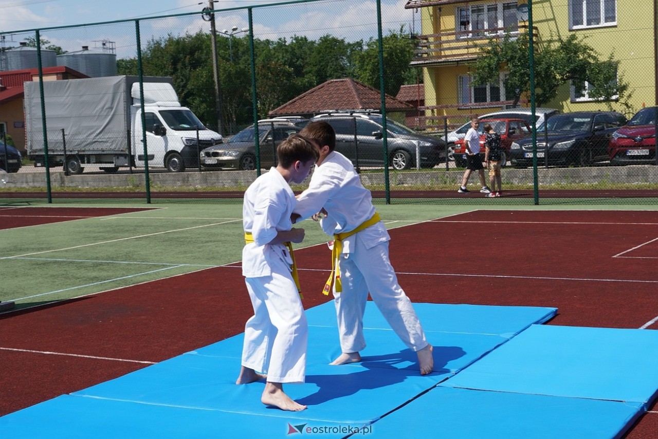 Piknik w Dylewie: Radość, zabawa i integracja dla całej rodziny [8.06.2024] - zdjęcie #26 - eOstroleka.pl