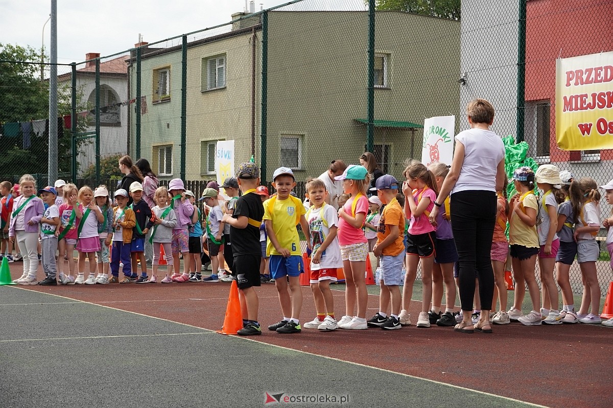 Zielona olimpiada małych sportowców [12.06.2024] - zdjęcie #33 - eOstroleka.pl