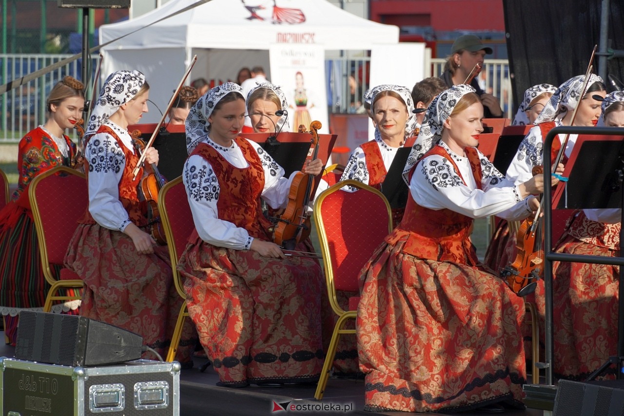Koncert Zespołu Pieśni i Tańca Mazowsze w Lelisie [12.06.2024] - zdjęcie #139 - eOstroleka.pl