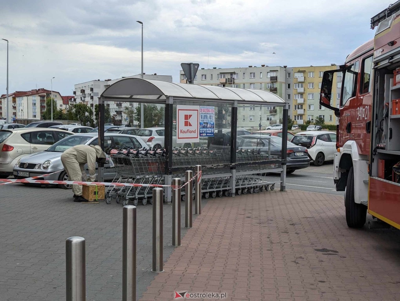 Pszczeli rój przed Galerią Bursztynową [13.06.2024] - zdjęcie #19 - eOstroleka.pl