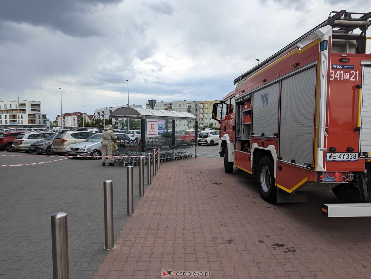 Pszczeli rój przed Galerią Bursztynową [13.06.2024] - zdjęcie #18 - eOstroleka.pl