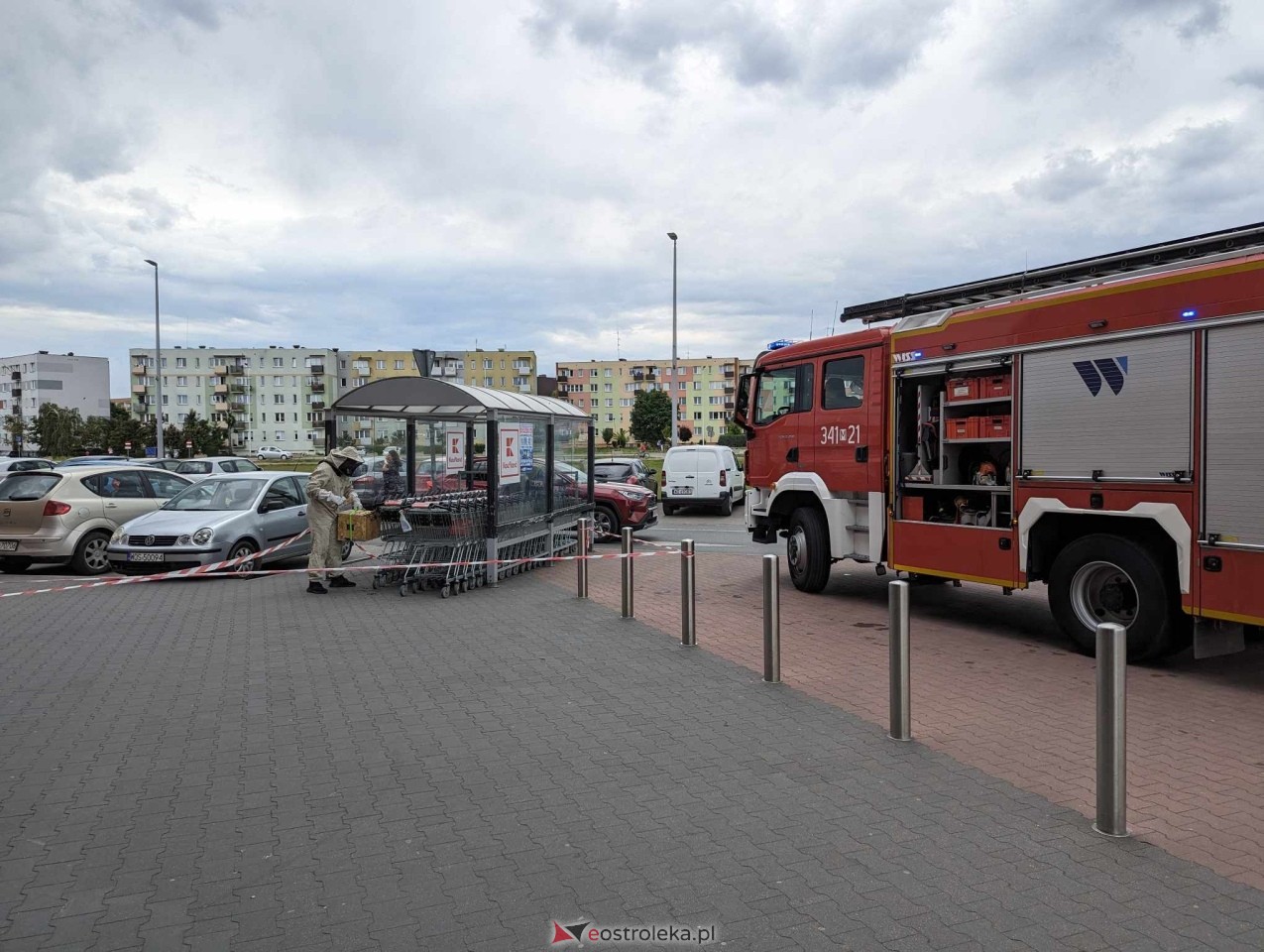 Pszczeli rój przed Galerią Bursztynową [13.06.2024] - zdjęcie #16 - eOstroleka.pl