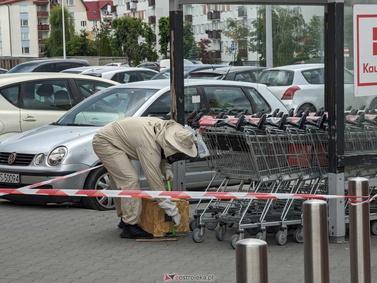 Pszczeli rój przed Galerią Bursztynową [13.06.2024] - zdjęcie #14 - eOstroleka.pl