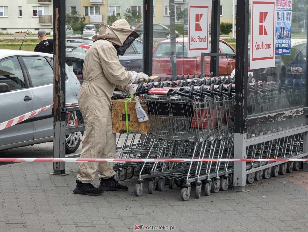 Pszczeli rój przed Galerią Bursztynową [13.06.2024] - zdjęcie #12 - eOstroleka.pl