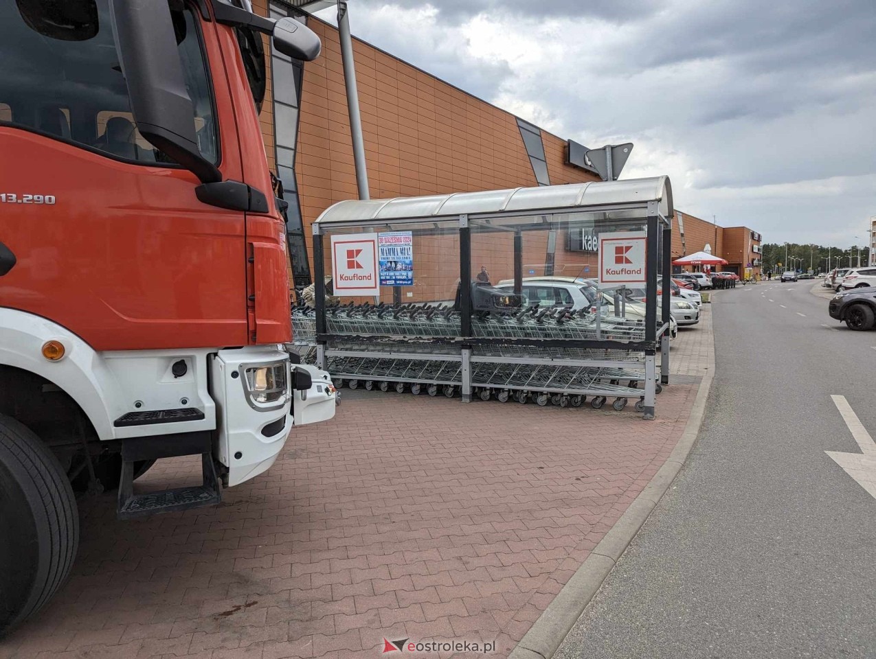 Pszczeli rój przed Galerią Bursztynową [13.06.2024] - zdjęcie #11 - eOstroleka.pl