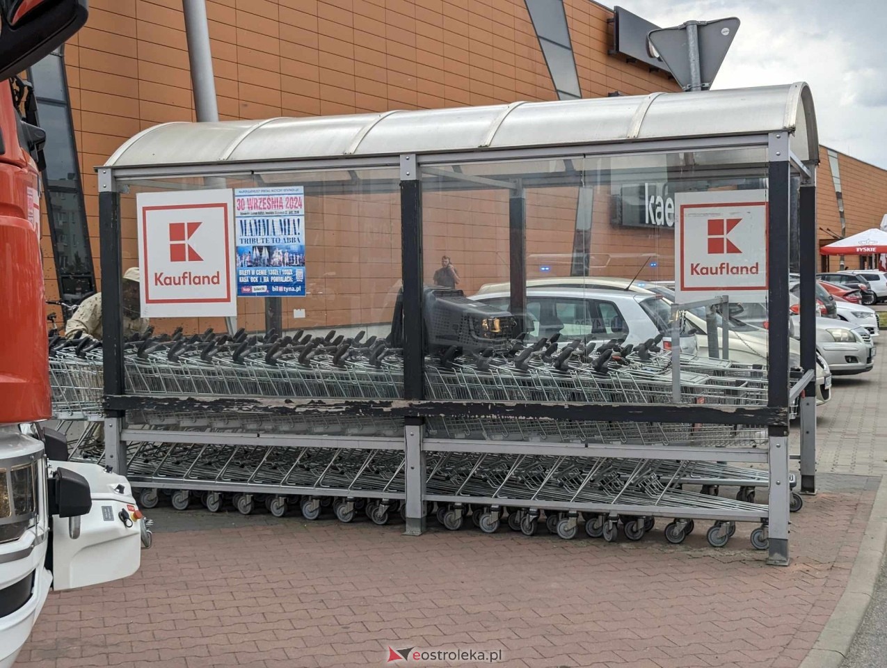 Pszczeli rój przed Galerią Bursztynową [13.06.2024] - zdjęcie #7 - eOstroleka.pl