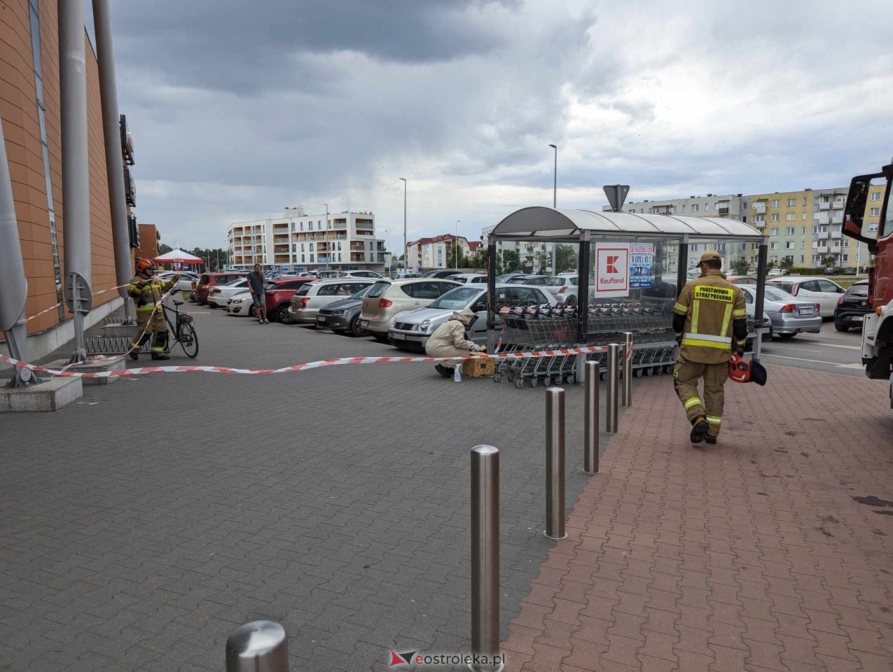 Pszczeli rój przed Galerią Bursztynową [13.06.2024] - zdjęcie #5 - eOstroleka.pl