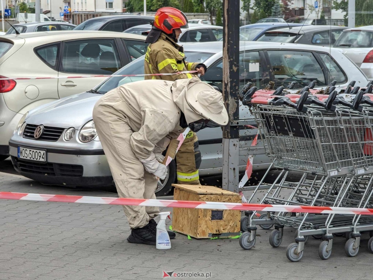 Pszczeli rój przed Galerią Bursztynową [13.06.2024] - zdjęcie #4 - eOstroleka.pl